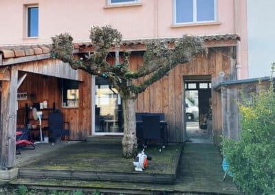Taille mûrier platane Colomiers