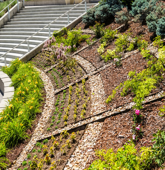 amenager-jardin-en-pente-Colomiers-leguevin-Toulouse-Jackel-elagueur-31 aménager jardin en pente Colomiers Toulouse Jackel élagueur 31