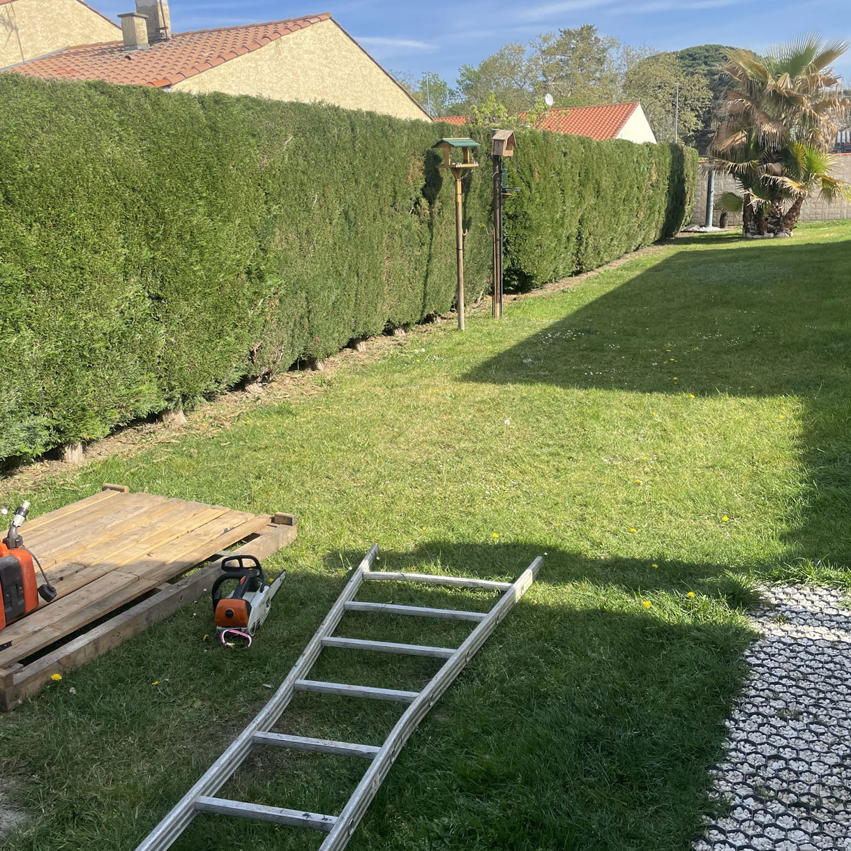 chantier-arrachage-haie-plaisance-du-Touch-Jackel-elagueur-31 chantier arrachage haie Plaisance du touch Jackel élagueur 31