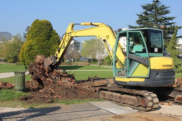 deracinement-arbre-colomiers-toulouse-Jackel-elagage-31 déracinement arbre colomiers toulouse Jackel Élagage 31