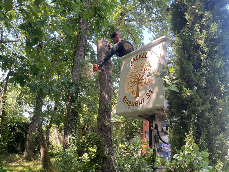 Élagage abattage Fontenilles