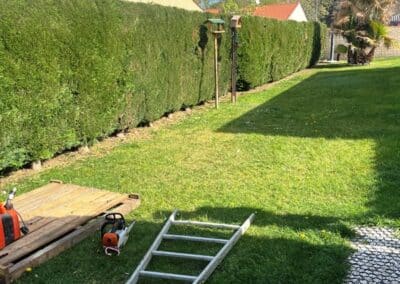 entretien jardin Plaisance Jackel élagueur 31