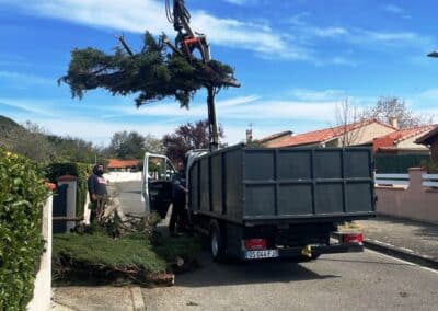 évacuation végétaux haie cyprès Jackel élagueur 31