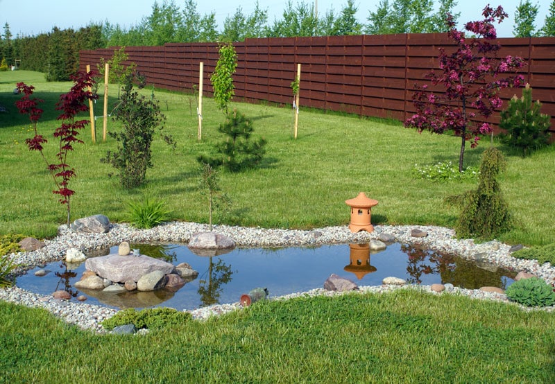 mare-d-eau-jardin-toulouse-Jackel-elagueur-31 mare d'eau jardin toulouse Jackel Élagueur 31