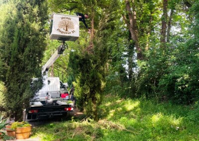 Services arboriculture Brax