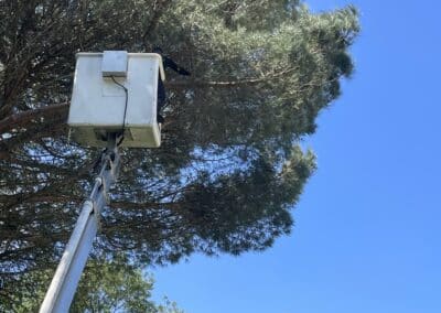 service élagage fontenilles Jackel élagueur 31