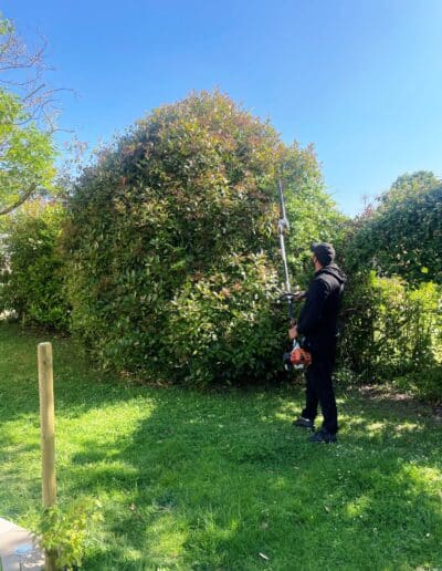 entretien espace vert plaisance du touch Jackel élagueur 31