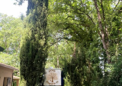 abattage cyprès brax Jackel élagueur 31