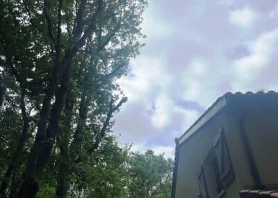 services arboriculture brax Jackel élagueur 31