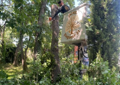 élagage abattage fontenilles Jackel élagueur 31