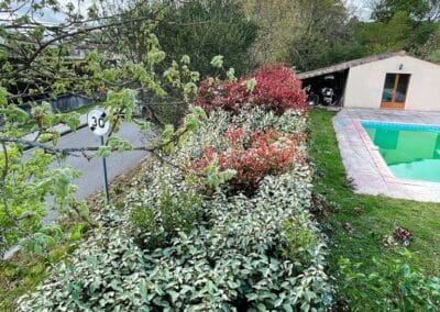 service élagage pibrac Jackel élagueur 31