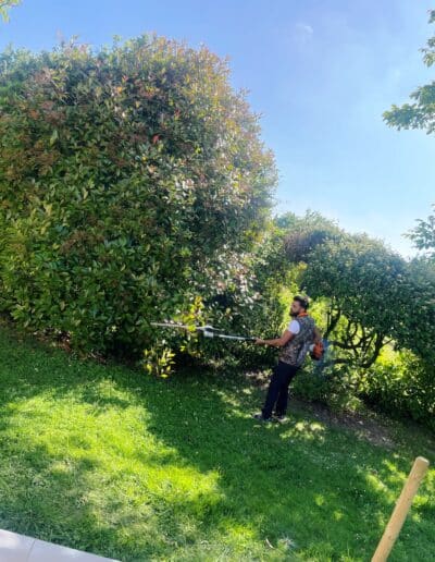 taille buisson plaisance du touch Jackel élagueur 31