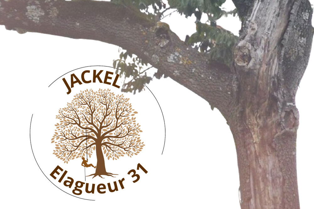 Jackel-elagueur-31 Jackel élagueur 31