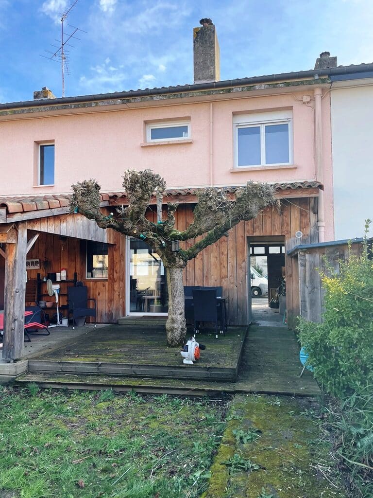 elagage murier platane colomiers Jackel elagueur 31770 élagage mûrier platane Colomiers 31770 Jackel élagueur 31