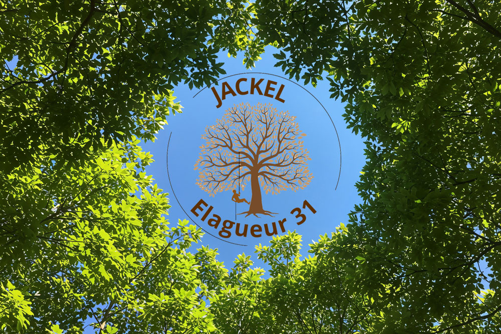jackel-elagage-31470-elagueur-fontenilles Jackel élagage 31470 élagueur Fontenilles