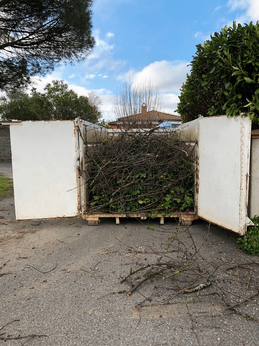 taille-de-haie-mixte-pibrac-gestion-des-dechets-vegetaux-Jackel-elagueur-31 taille de haie mixte pibrac gestion des déchets végétaux Jackel élagueur 31