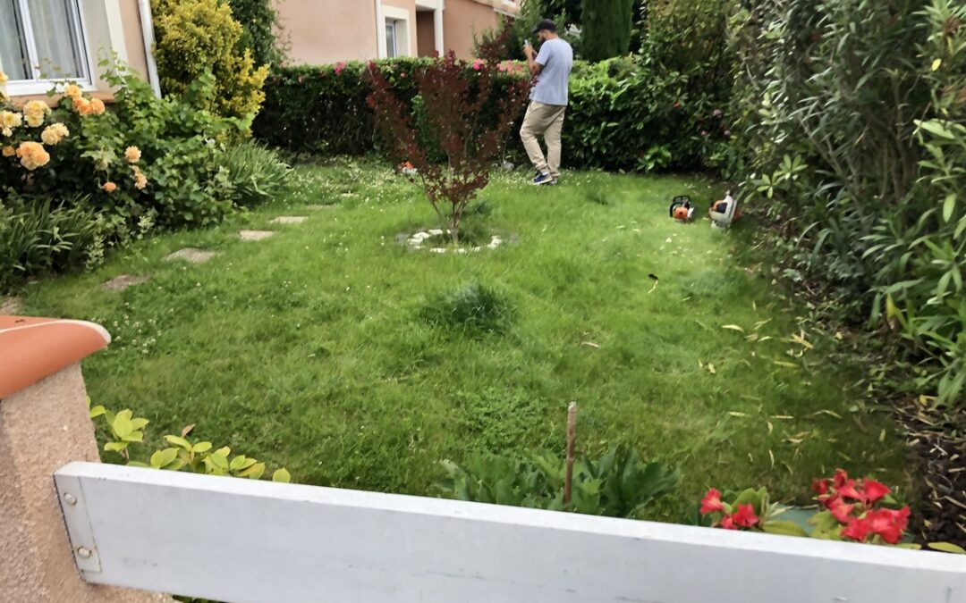 Tonte pelouse Colomiers