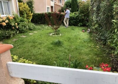 Tonte pelouse Colomiers