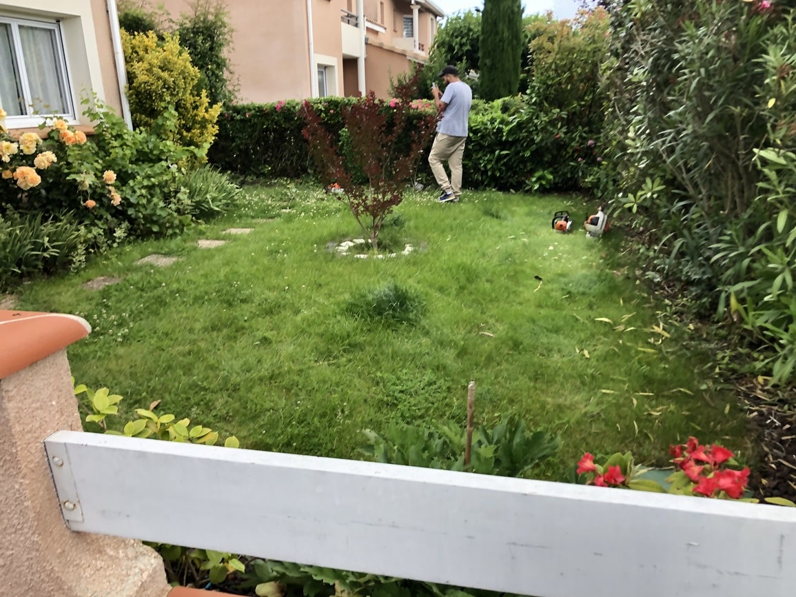 tonte pelouse colomiers 31770 Jackel elagueur 31_4404_m tonte pelouse colomiers 31770 Jackel élagueur 31