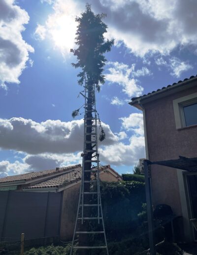 démontage arbre saint Lys Jackel élagueur 31
