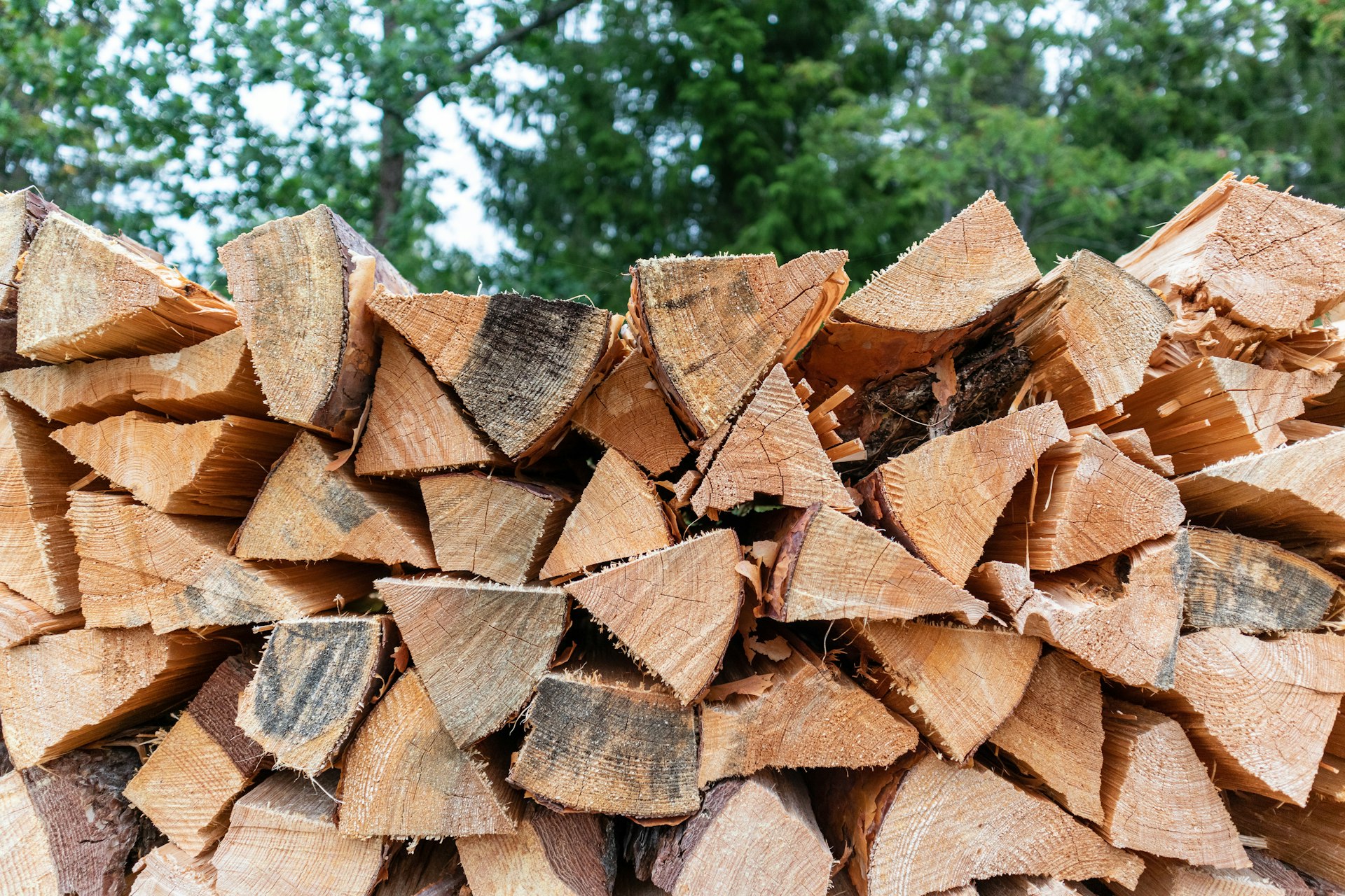 Bois de chauffage empilé après abattage à Eaunes