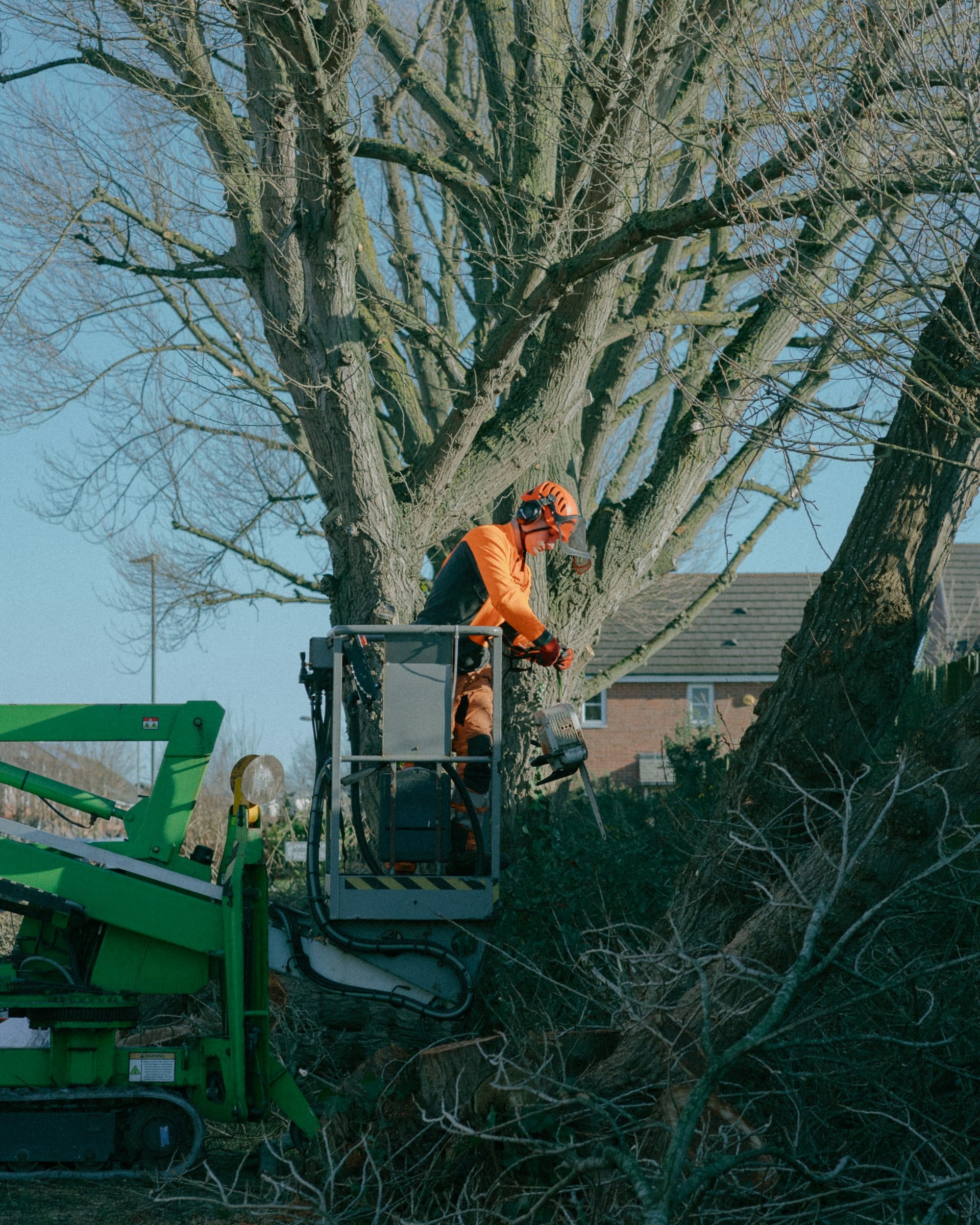 Élagueur en nacelle dans un arbre de jardin à Castelginest