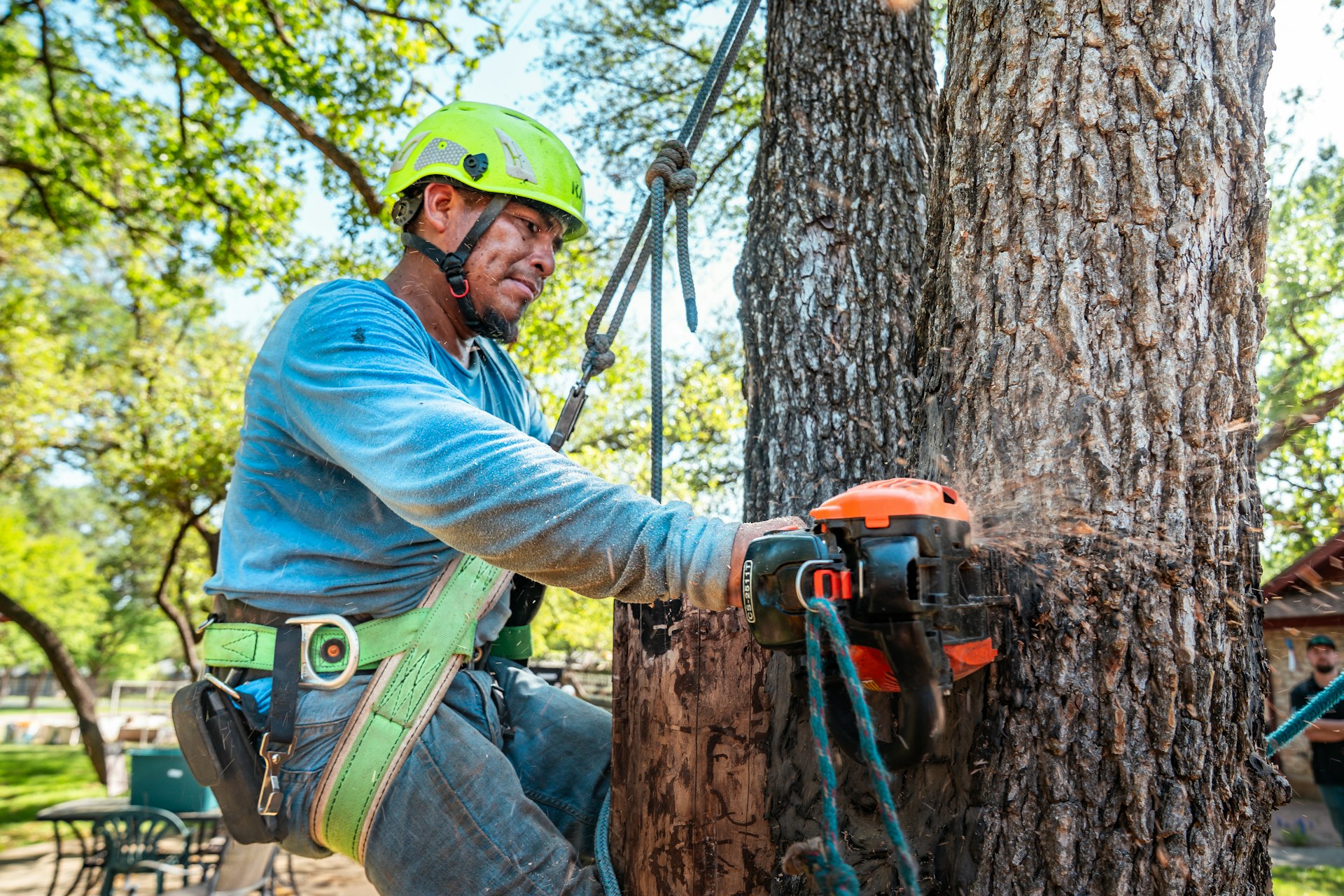 Élagueur à la tronçonneuse au pied d'un arbre à Bruguières