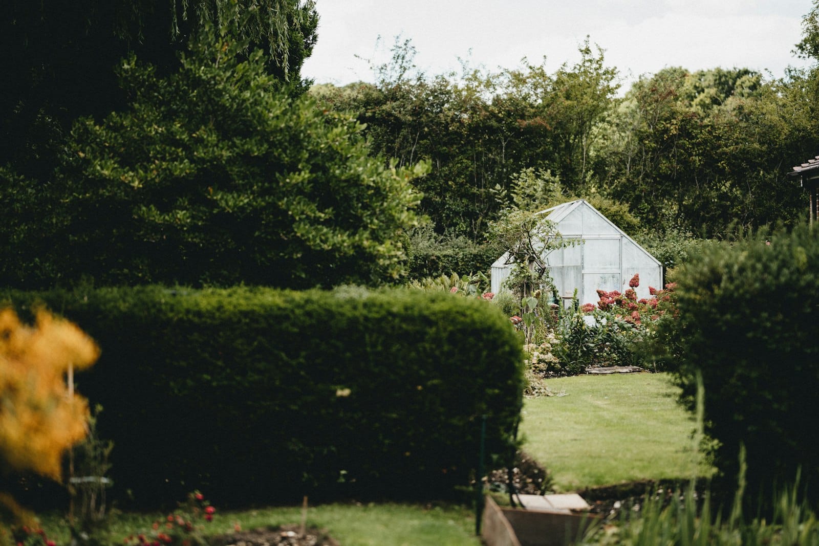 Jardin entouré de haies entretenues à Merville