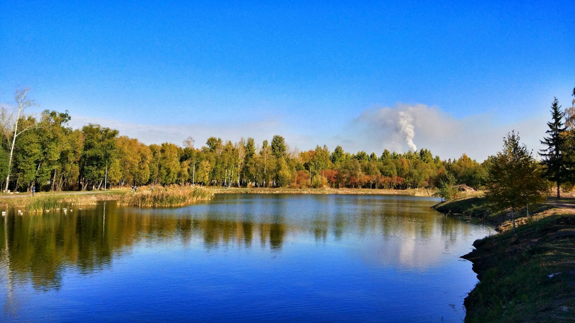 Lac bordé d'arbres près de Bruguières