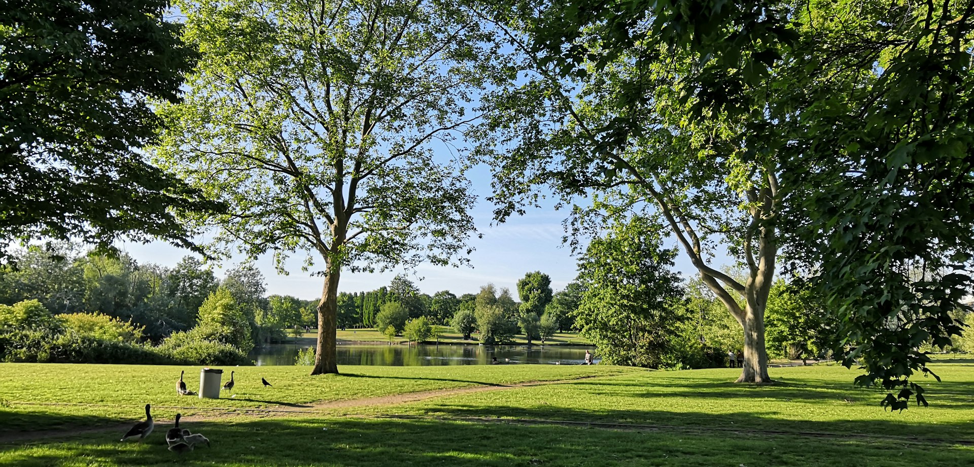 Parc arboré au nord de Toulouse, près de Castelginest